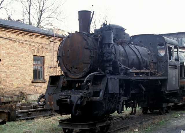 Kroniewice, marzec 1993, foto Geoff Jenkins